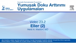 Video 23.2: Eller (2)