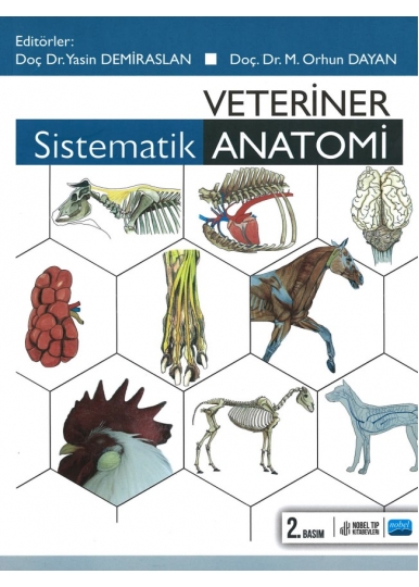 Veteriner sistematik Anatomi