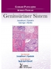 Cerrahi Patolojide Ayırıcı Tanılar: Genitoüriner Sistem