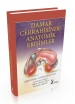 Damar Cerrahisinde Anatomik Erişimler