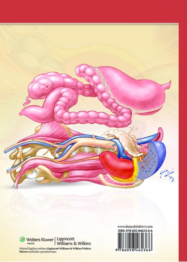 Damar Cerrahisinde Anatomik Erişimler