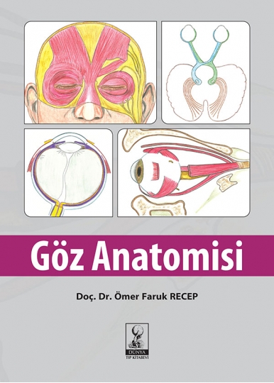 Göz Anatomisi