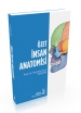 Özet İnsan Anatomisi