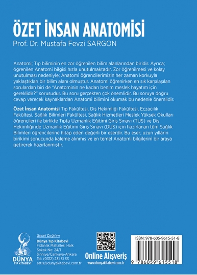 Özet İnsan Anatomisi