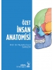 Özet İnsan Anatomisi