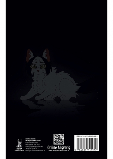 Şarı Kedi: Kıvılcım