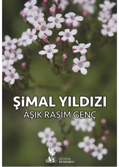 Şimal Yıldızı