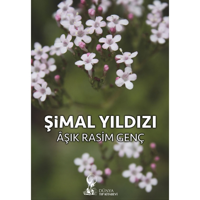 Şimal Yıldızı